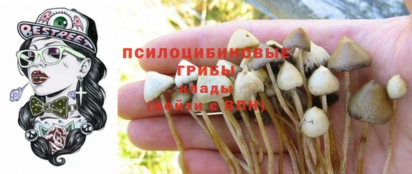 экстази Данков